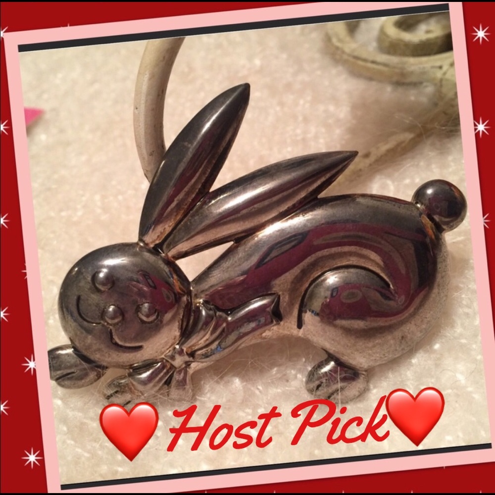 Silver Rabbit PIN and/or pendant great for Easter